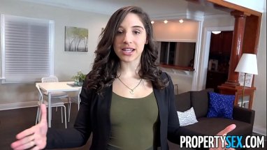 The Real Estate Agent